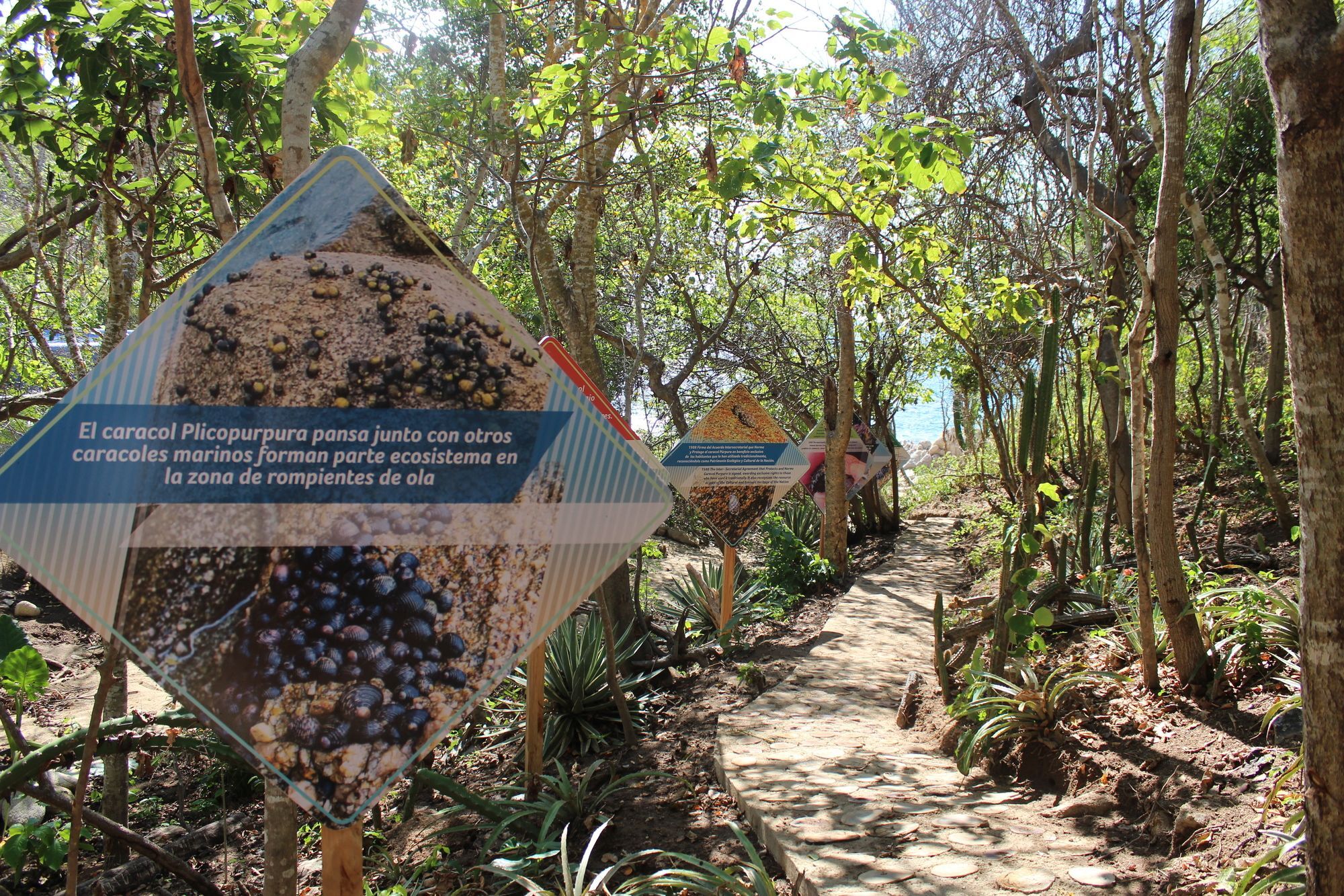 Isla Natura Beach Huatulco 산타크루즈휴에튤코 외부 사진